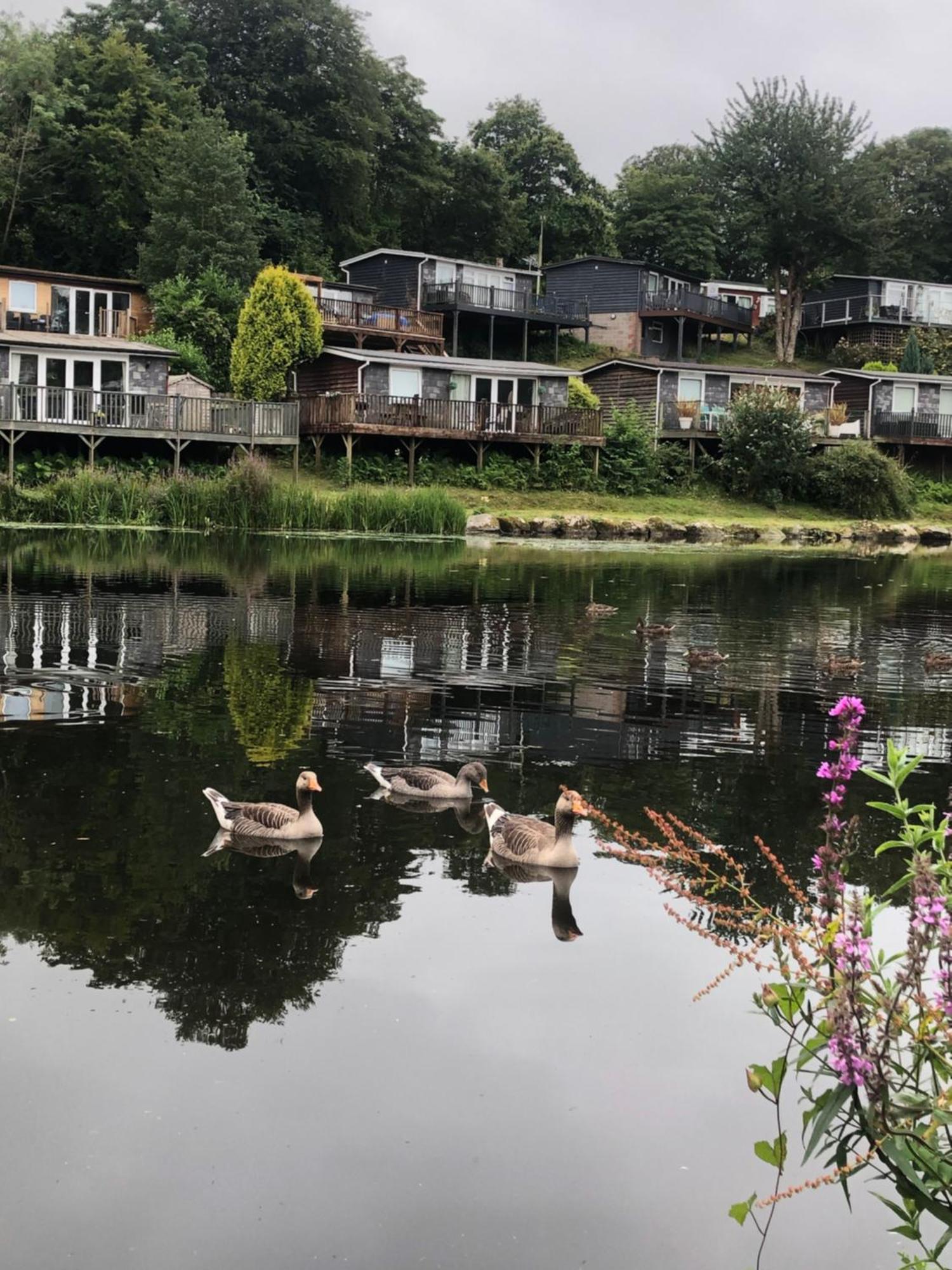 64, Lakeside, Glan Gwna Chalet